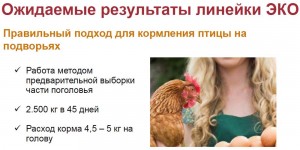 эко1